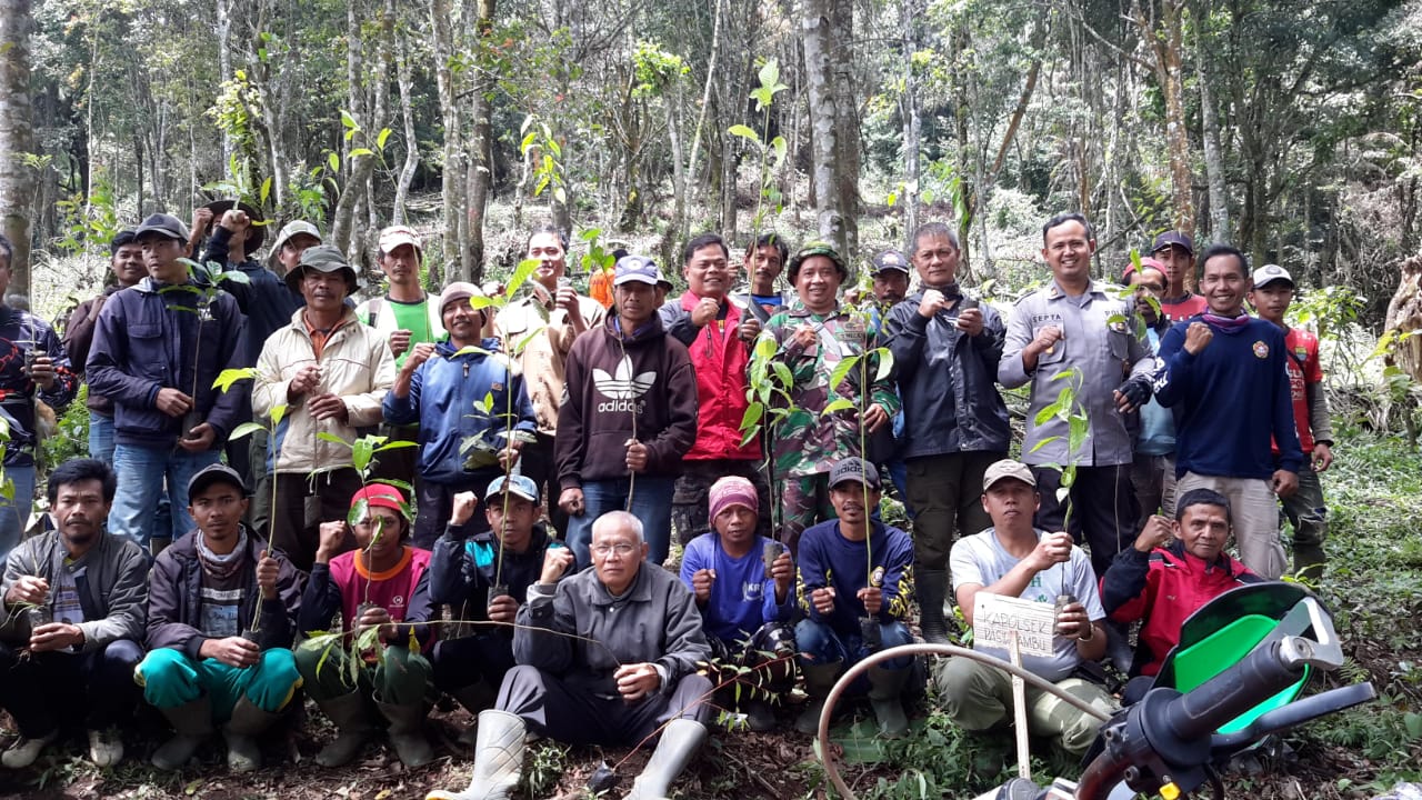 Penebangan pohon di hutan dilakukan dengan sistem